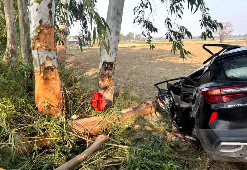 Family Tragedy in Jhajjar: 3 Killed, 3 Injured as Car Hits Tree