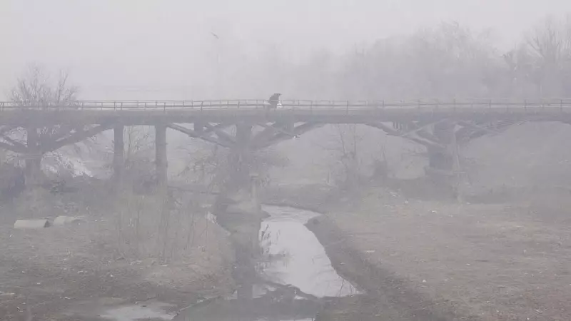 First Snowfall in Gulmarg & Sonamarg Boosts Kashmir Winter Tourism Hopes