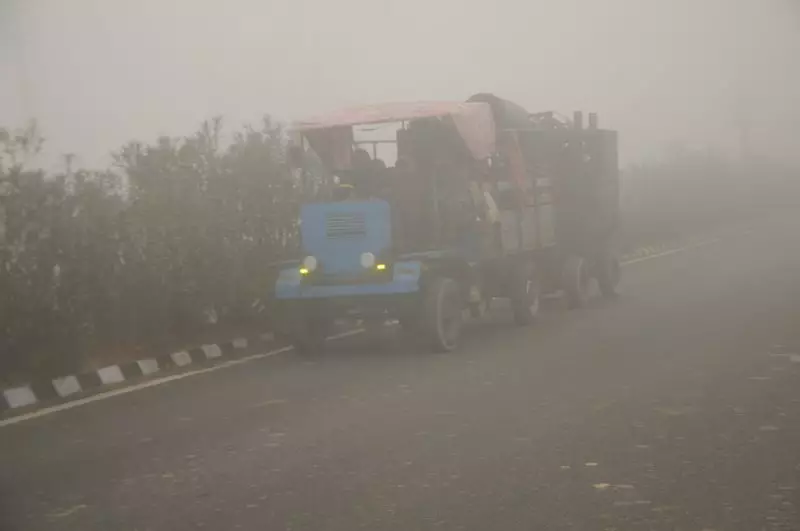 Fog Hazards in Amritsar: Missing Reflectors & Lights Put Lives at Risk