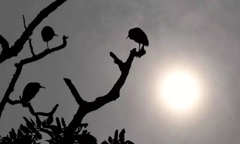 Fog Lifts in North India, Orange Alert Issued for New Year's Day