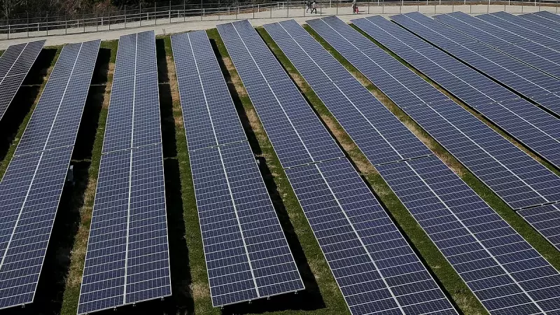 Free Power Paradox: How Tamil Nadu's Subsidised Electricity Is Blocking Solar Energy Adoption