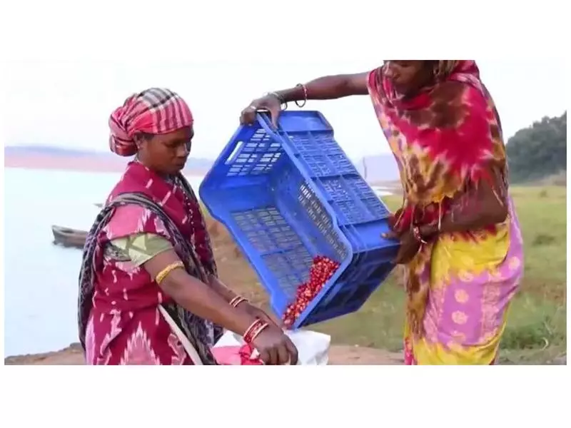 From Indian Plantations to Global Fame: PM Modi Celebrates Coffee's International Journey