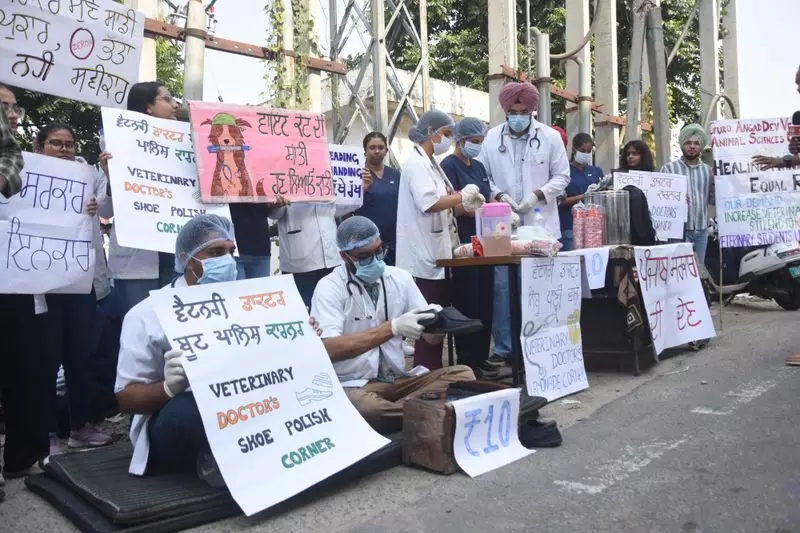 GADVASU Students Continue Wit-Filled Protest: A Battle for Rights with Satire and Spirit