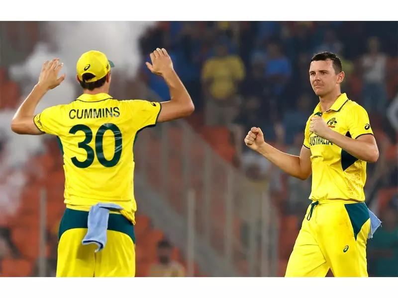 George Bailey Backs Cummins & Hazlewood for T20 World Cup, Stresses Online Availability