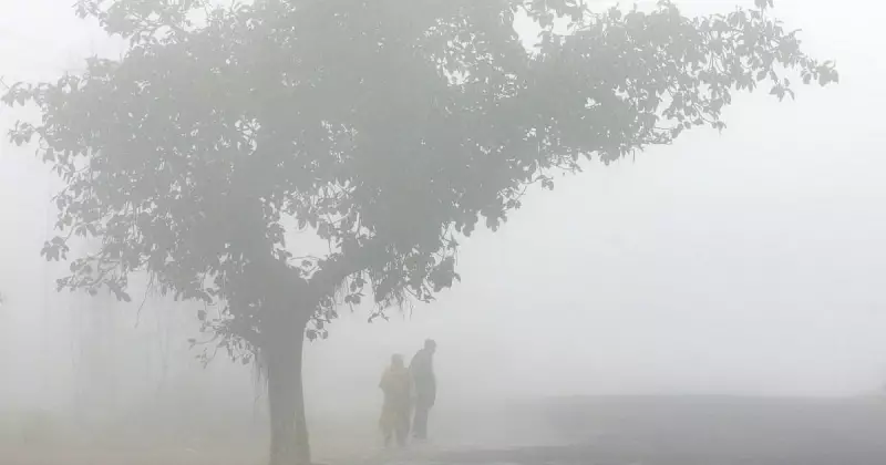 Global Photo Highlights: Makar Sankranti Rangoli to Milan Sunset on Jan 11, 2026
