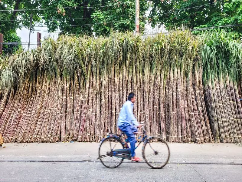 Government Approves Sugar Exports, ISMA Seeks MSP & Ethanol Price Revisions