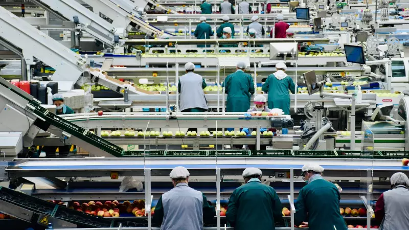 Govt Seeks Feedback on Draft Labour Code Rules: 48-Hour Week, Gig Worker Board Proposed