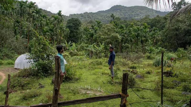 Green Alert: Karnataka's Development Spree Threatens to Wipe Out Countless Trees