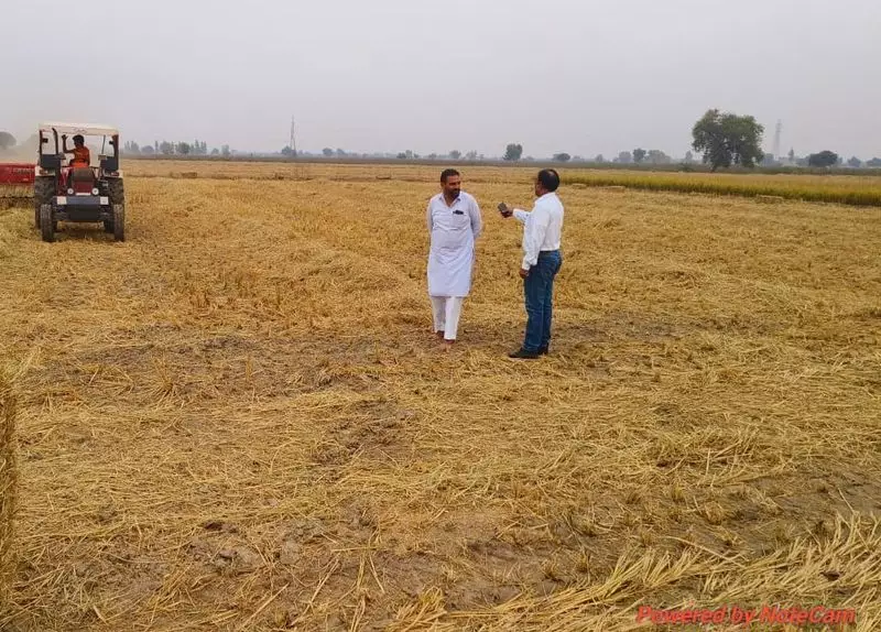 Haryana Cracks Down on Stubble Burning: Special Teams Deployed Across Villages to Combat Pollution