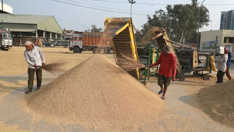 Haryana Farmers in Distress: Paddy Purchased Below MSP, Claims Gurnam Singh Charuni