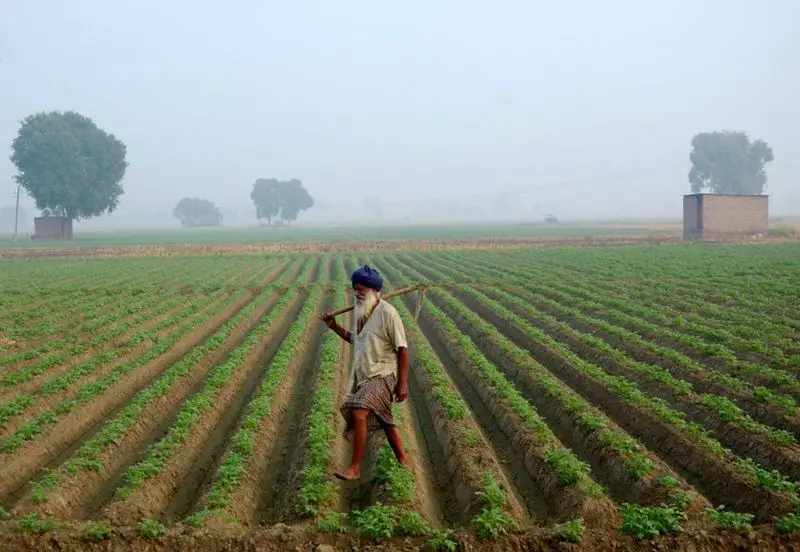 Haryana Farmers to Get Unique Digital ID, Aims to Streamline Subsidies