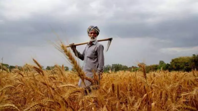 Haryana's 25.67 Lakh Farmers Owe Rs 60,816 Crore in Agri Loans, Says CM Saini
