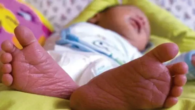 Haryana's Birth Sex Ratio Rises to 912, 5 Districts Show Major Gains