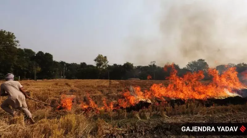 Haryana's Stubble Burning Spike: CAQM Demands Answers from Fatehabad