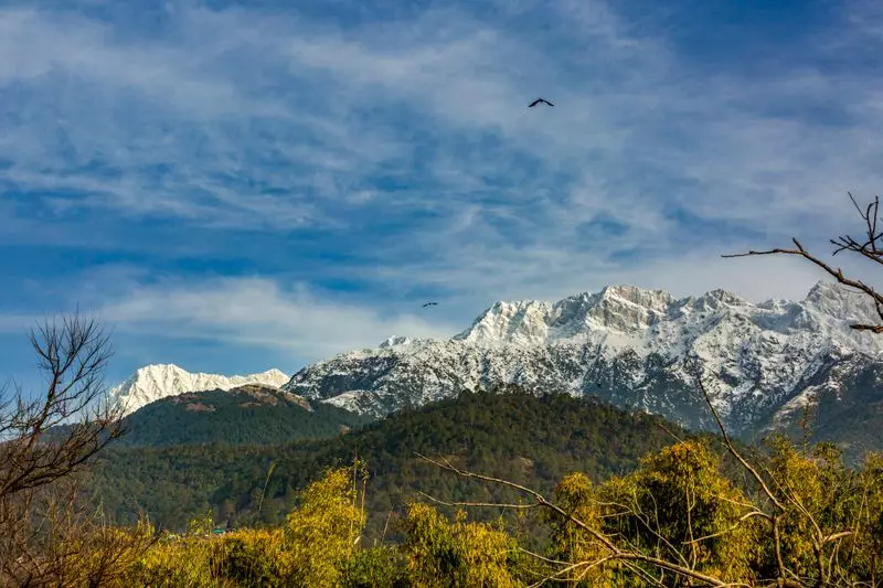 Himachal Pradesh on Alert: Snowfall, Rainfall, and Cold Wave Forecast Until Jan 2