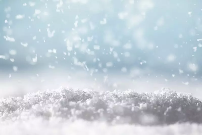 Himachal's Higher Reaches to Get Snow, Rain on Jan 5-6: IMD Alert