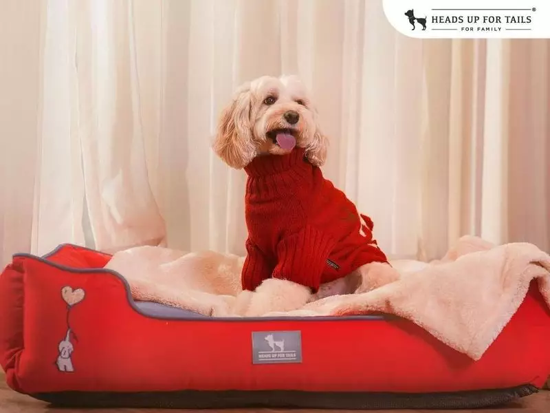 HUFTS Winter Collection 2023: Magical Fashion for Pets and Owners