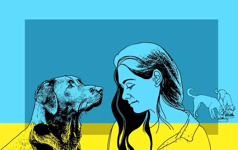 Humane Stray Dog Management: A Compassionate Path Forward