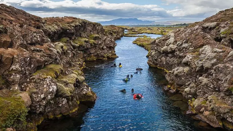 Iceland's First-Ever Mosquito Invasion: Record Heatwave Brings Unwanted Visitors