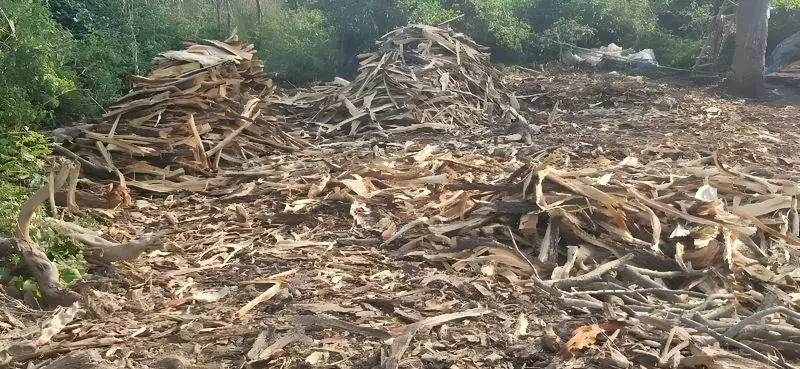 Illegal Khair Wood Depot Uncovered in Garhshankar, Locals Demand Action