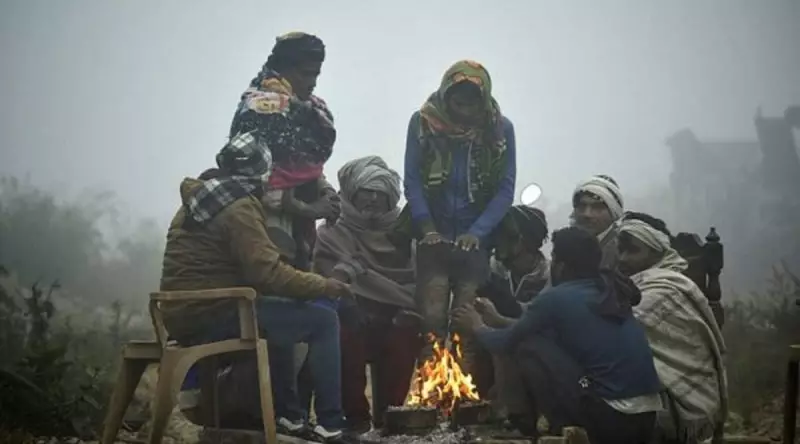 IMD Forecast: Cold Wave & Dense Fog to Grip Punjab, Haryana for Days