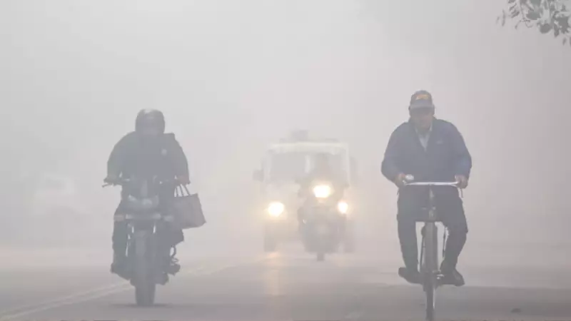 IMD Forecast: Dense Fog, Cold Wave, Snowfall to Grip India Till Jan 1