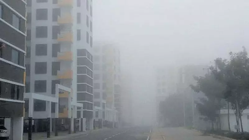 IMD Forecasts Cold Wave for North Interior Karnataka, Details Inside