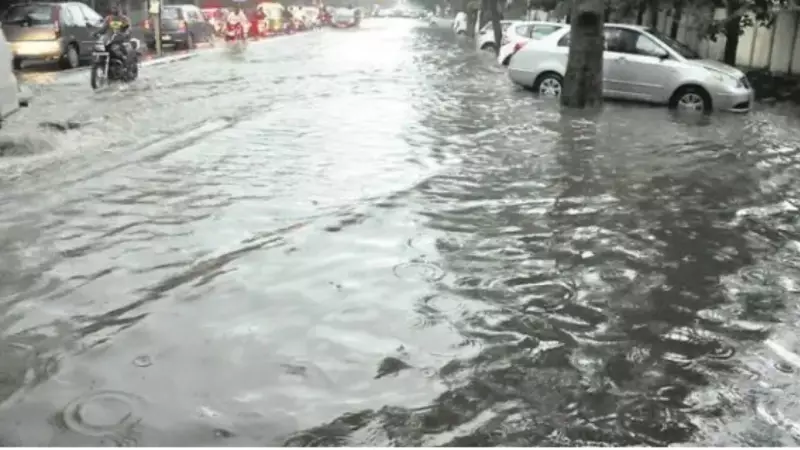 IMD Forecasts Light Rain for Kutch, Saurashtra, North Gujarat Around New Year