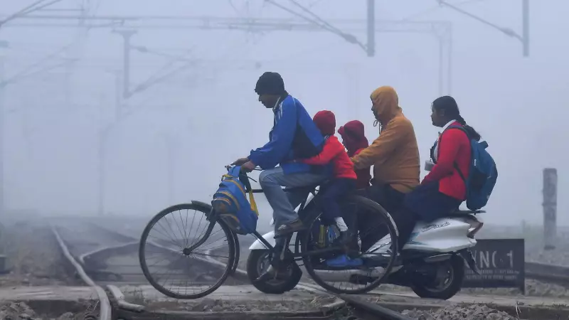 IMD Issues Dense Fog & Cold Wave Alert for North India; Rain Forecast in South