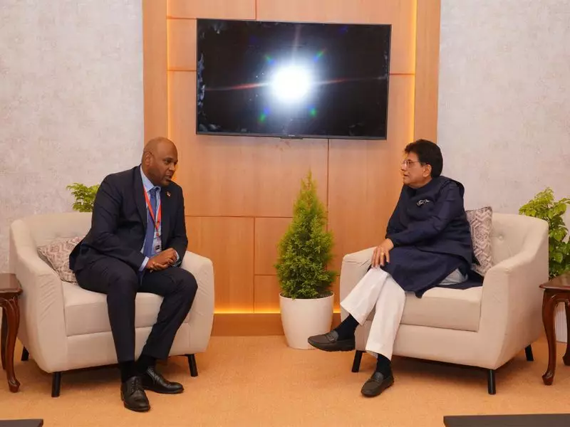 India-Mozambique Trade Talks: Piyush Goyal Meets Mozambique Trade Secretary