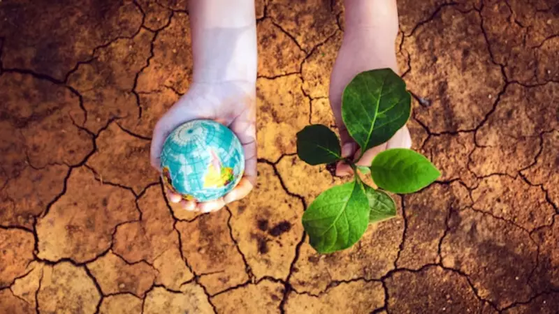 India Slips 13 Places in Climate Change Performance Index 2026