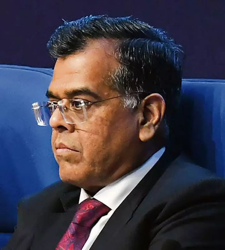 India to Build Land Banks for Afforestation Within 30 Days of Project Clearance