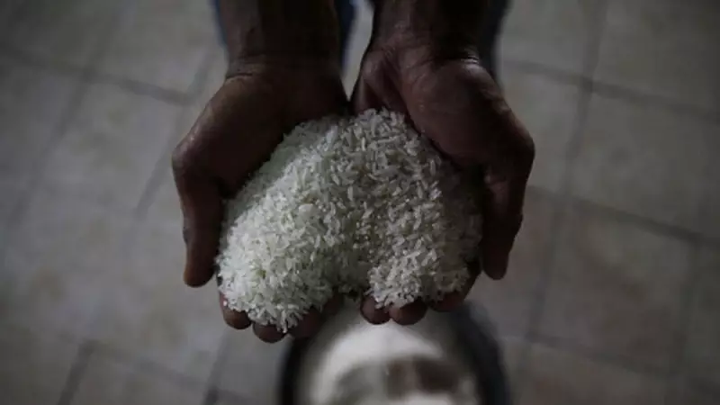 Indian Rice Exporters Seek Budget Sops, Interest Subvention to Stay Competitive