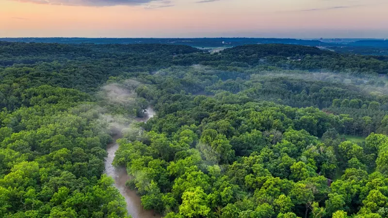 India's Carbon Sink Weakens Under Heat Stress, Threatening Net-Zero Goals