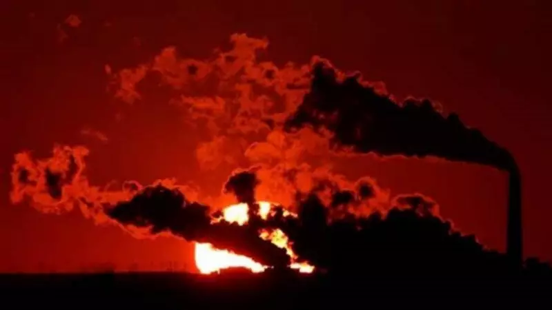 India's CO2 Emissions Growth Set to Slow to 1.4% in 2025: Global Study