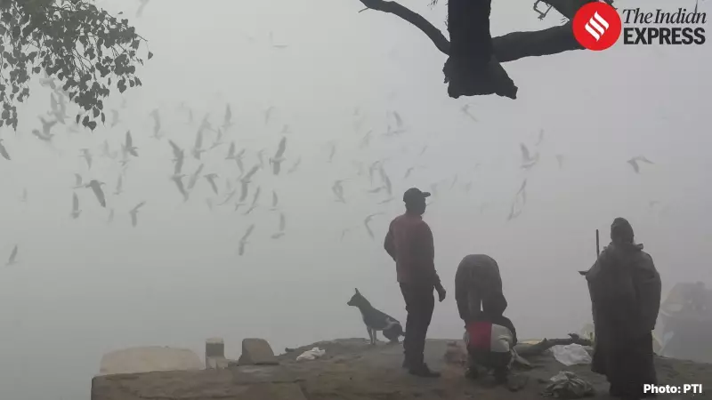 India's Driest December in Decades: IMD Reports No Rain in Delhi, 69% Deficit Nationwide