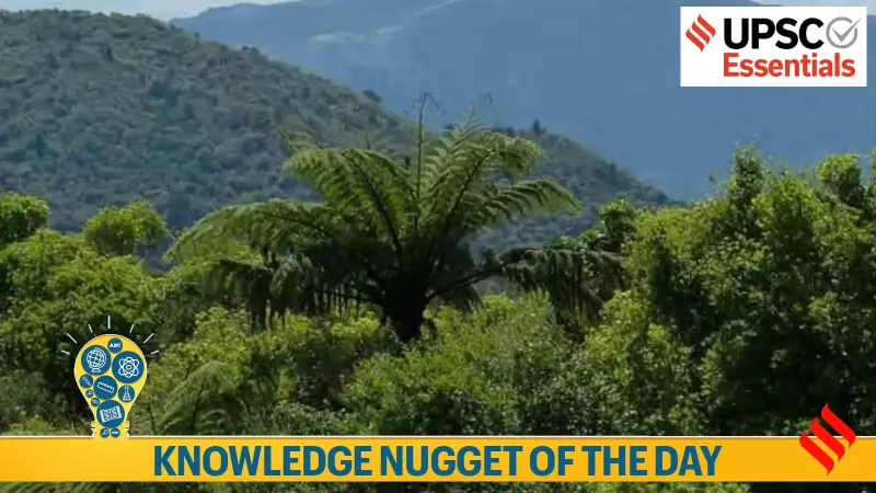 India's Forests Are Growing! UN FAO Report Reveals Positive Trend for UPSC Aspirants