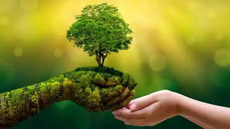 India's Green Transition: Why Self-Reliance is Key to Net Zero 2070