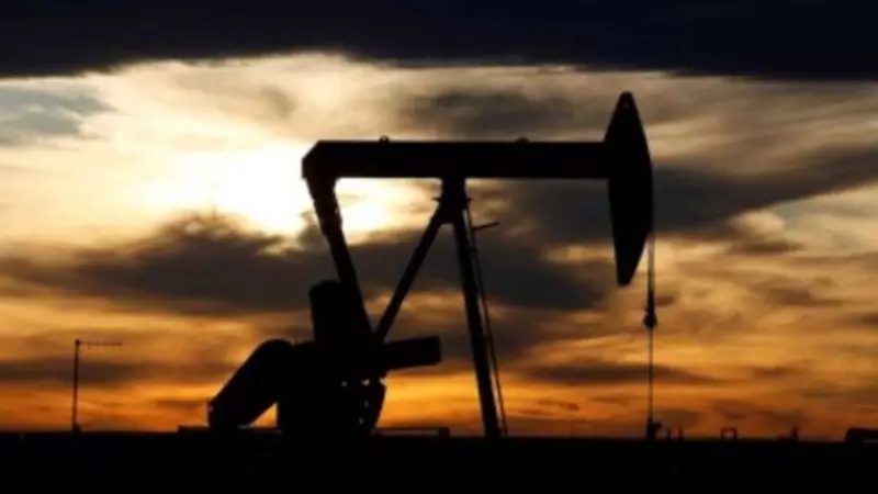 India's LNG Imports Drop 11.1% as Monsoon Rains, Price Volatility Cool Demand