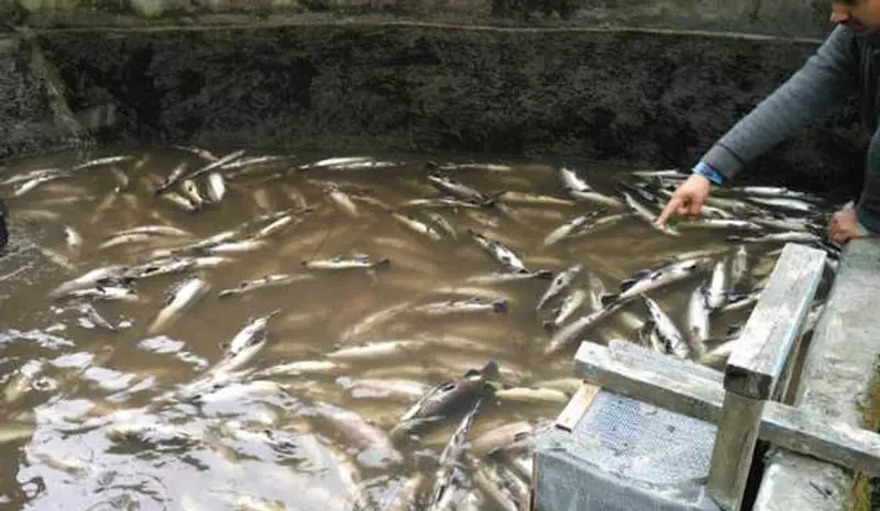 India's Marine Fisheries Census Goes Fully Digital: A Historic Shift for Coastal Communities