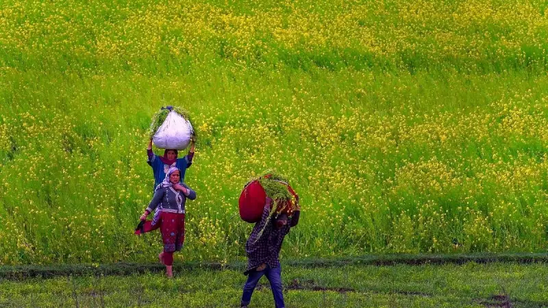 India's Rural Foundation: The Forgotten Majority's Urban Dreams