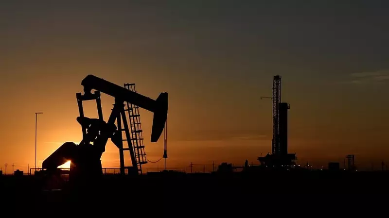 India's Russian Oil Imports Hit 5-Month High Ahead of Putin Visit