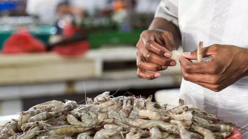 India's Seafood Exports Surge 16% to $4.87B, Defying High US Tariffs