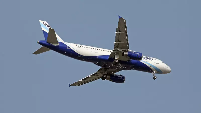 IndiGo Flight Chaos: Over 250 Cancellations, OTP Drops to 19.7%