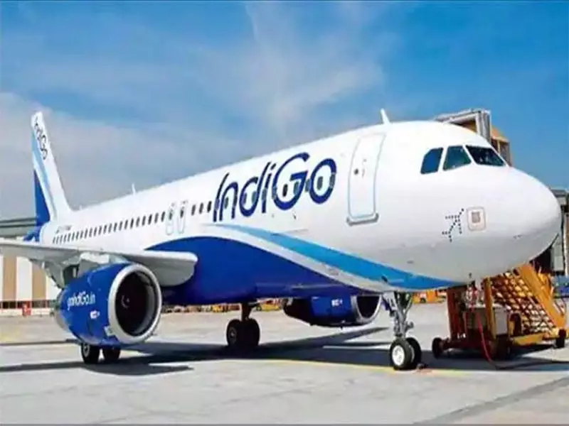Indigo Reports Minor Delays Due to Airbus Software Issue, No Cancellations