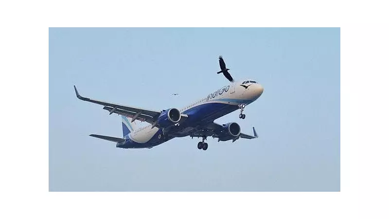 IndiGo Resumes Nine Jammu Flights, Cancels Seven from Srinagar