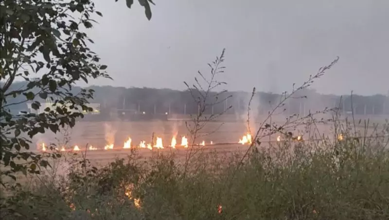 ISRO Study Exposes Farm Fire Underreporting: Farmers Evade Satellites