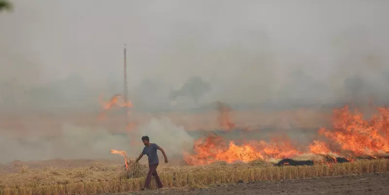 ISRO Study: Farm Fire Decline May Be Undercounted as Stubble Burning Shifts to Evening