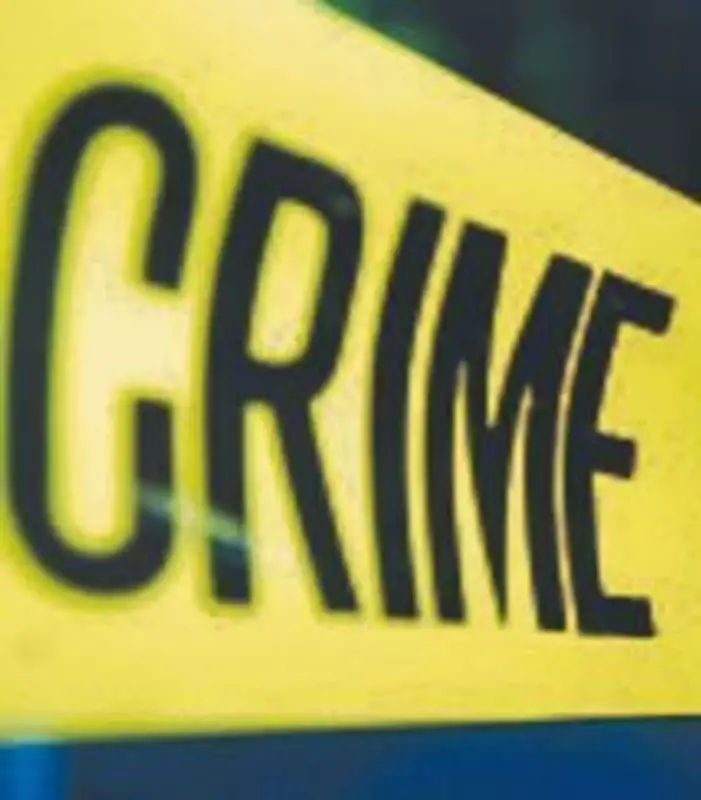 Jalandhar Crime Wave: 6 Incidents Including Murder, Theft, and Fraud