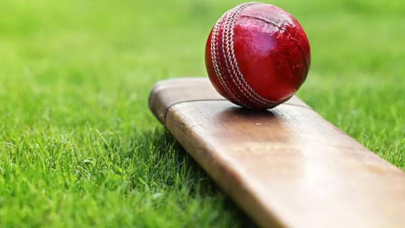 Jammu Police Question Cricketer Over Helmet with Palestine Flag in Local Tournament